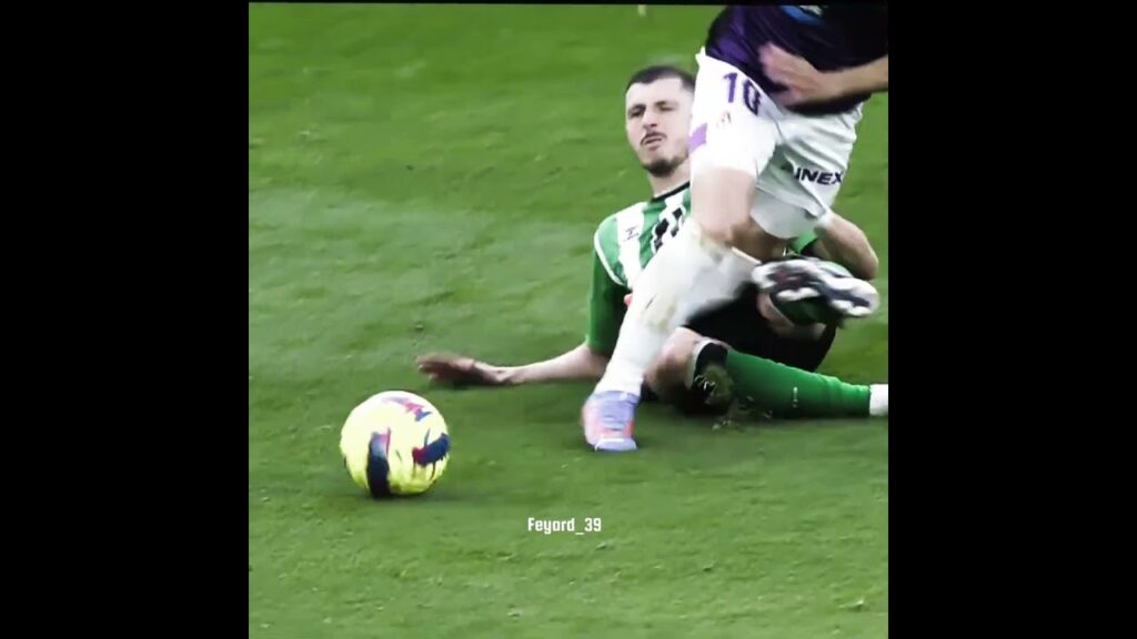 Guido Rodriguez & Fenerbahçe ( Şimşek Mcquenn Guido Şimdi Senin Sıran ) #josemourinho #amrabat #fred