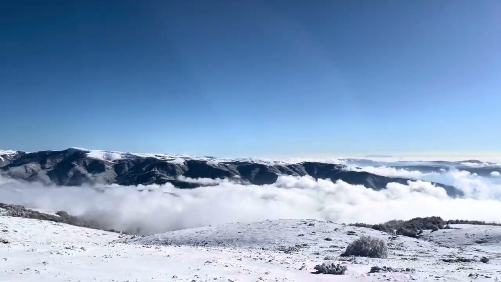 Stara planina 22 Dec 2024