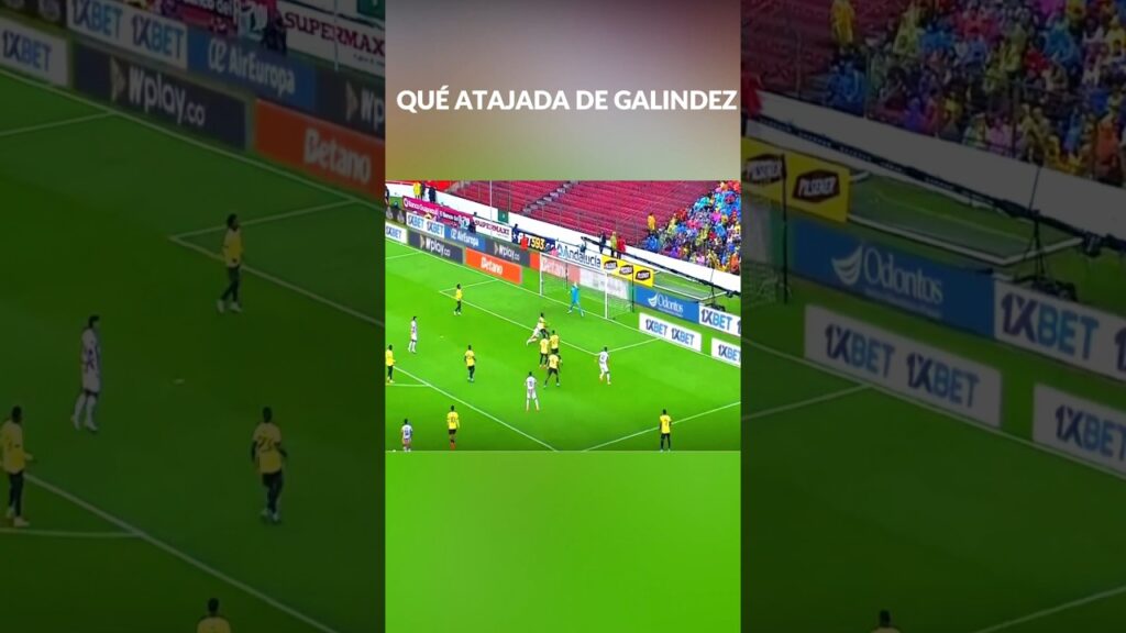⚽ Qué atajada de Galindez!!.Ecuador vs Paraguay #seleccionecuatoriana #eliminatoriasconmebol