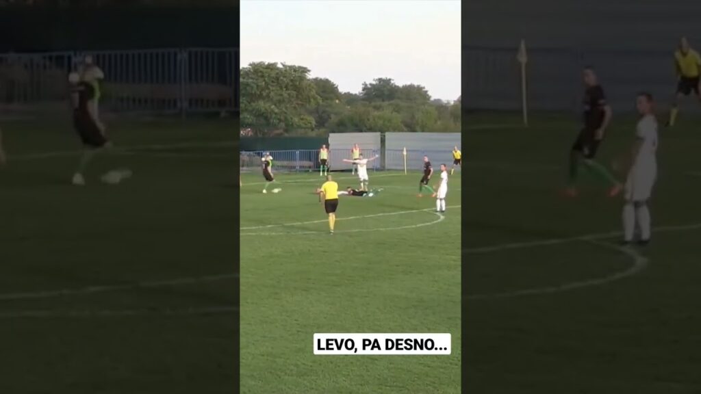 Maestralan "lažnjak" Živkovića dovoljan za najstrožu kaznu