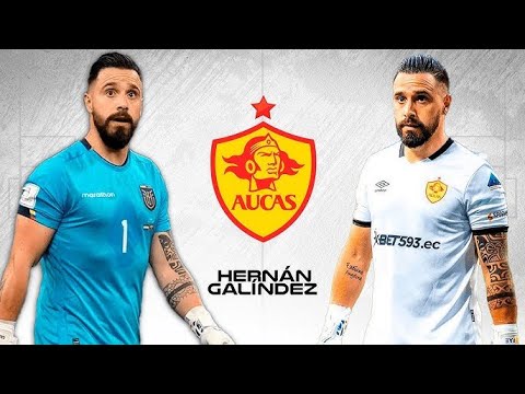 Hernan Galindez Arquero de Seleeccion