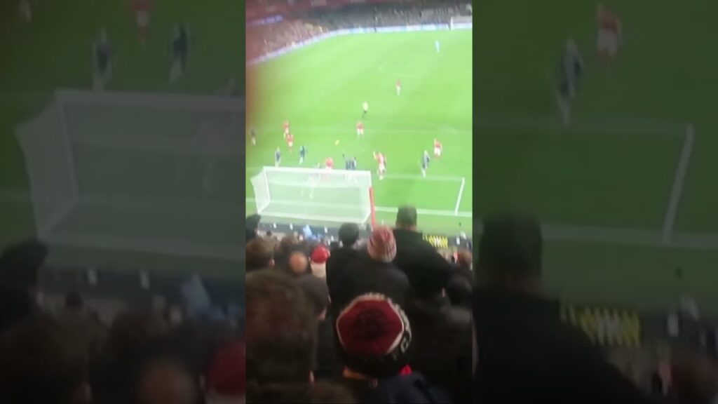 Forest Nikola Milenkovic goal against Aston Villa at the City Ground #nffc #astonvilla #vlog