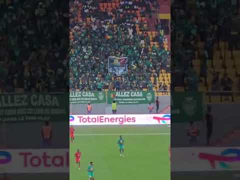 👏🙌 L'hommage de "Allez Casa" à Aliou Cissé