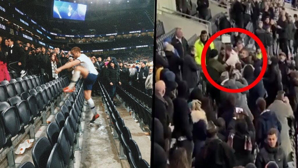 Eric Dier fights racist fan in the stands