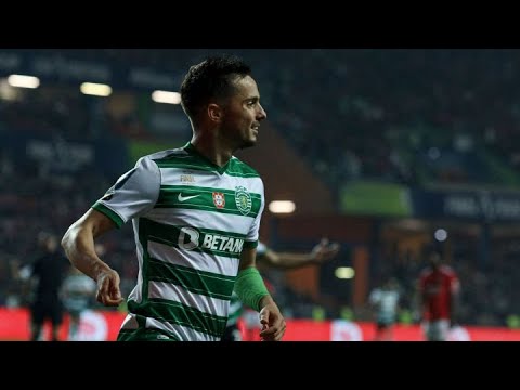 Pablo Sarabia - The Story So Far - PSG to Wolves