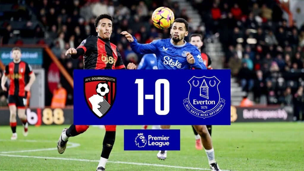 BOURNEMOUTH 1-0 EVERTON | Premier League highlights