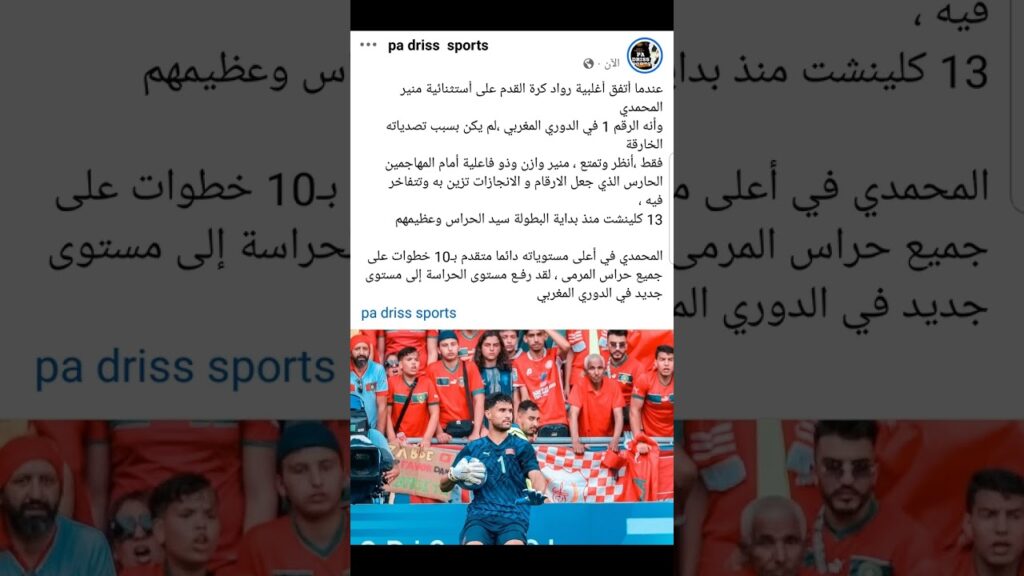 منير المحمدي سيد الحراس            #المغرب