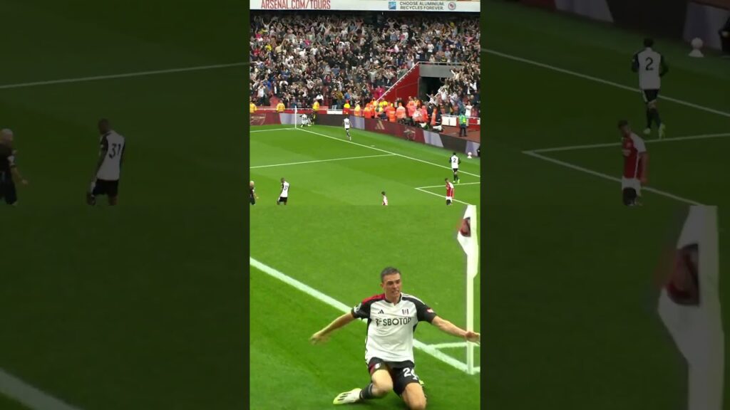 João Palhinha's LAST GASP GOAL Against Arsenal Wins Fulhams GOTM! #shorts