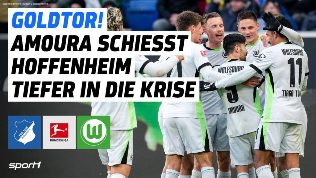 TSG Hoffenheim - VfL Wolfsburg | Bundesliga Tore und Highlights 16. Spieltag