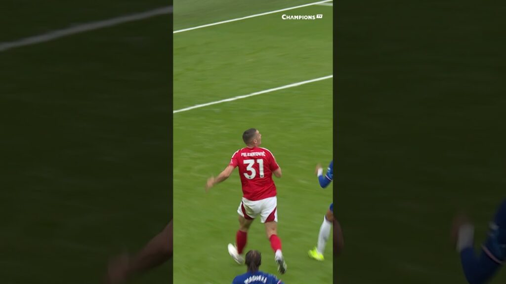 BEAST! Performa Milenkovic sepanjang season ini di Premier League!