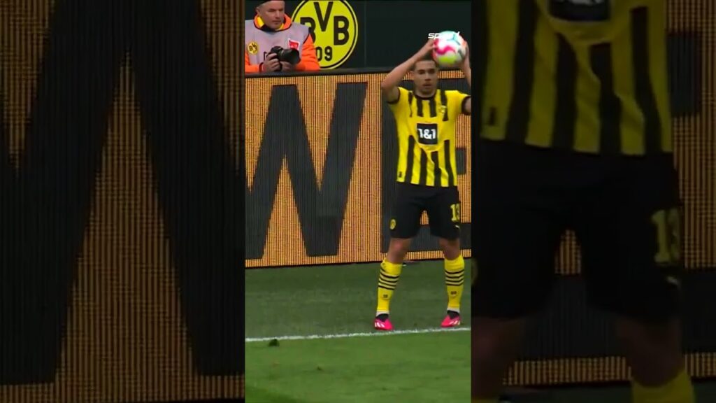 Wie findet ihr die Aktion von Raphaël Guerreiro?🧐