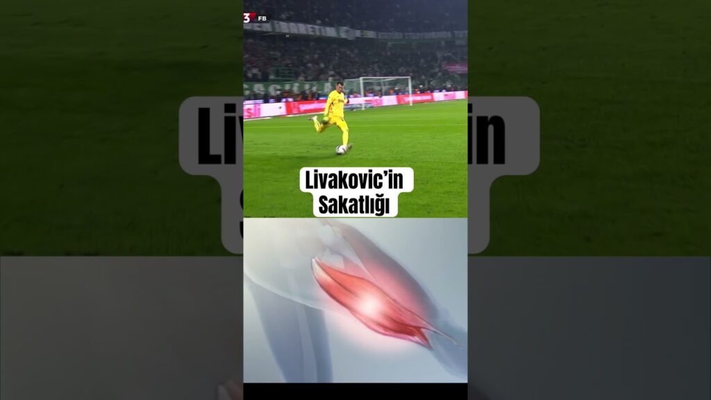 LIVAKOVIC SAKATLANDI