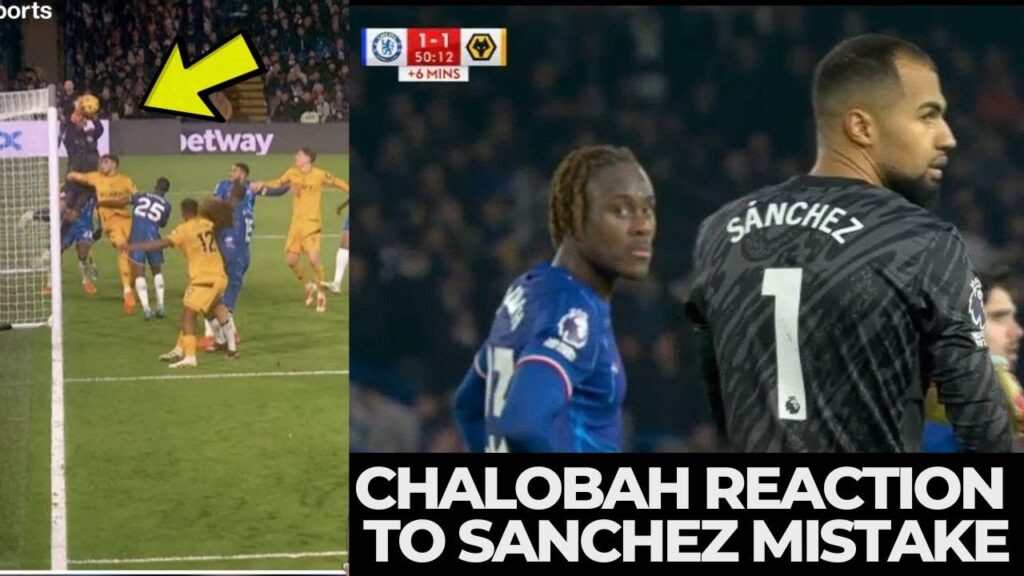 Trevoh Chalobah Reaction To Robert Sanchez Mistake Vs Wolves. Trevoh Chalobah Reaction To Robert Sanchez Mistake Vs Wolves.