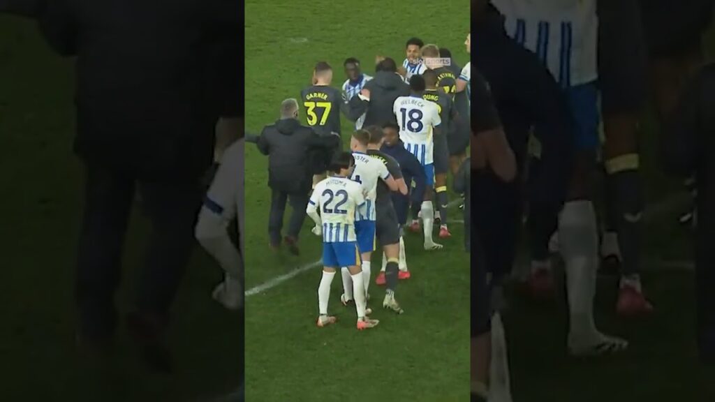 "It's all kicking off!" | Tempers boil over at full-time between Brighton and Everton! 😳