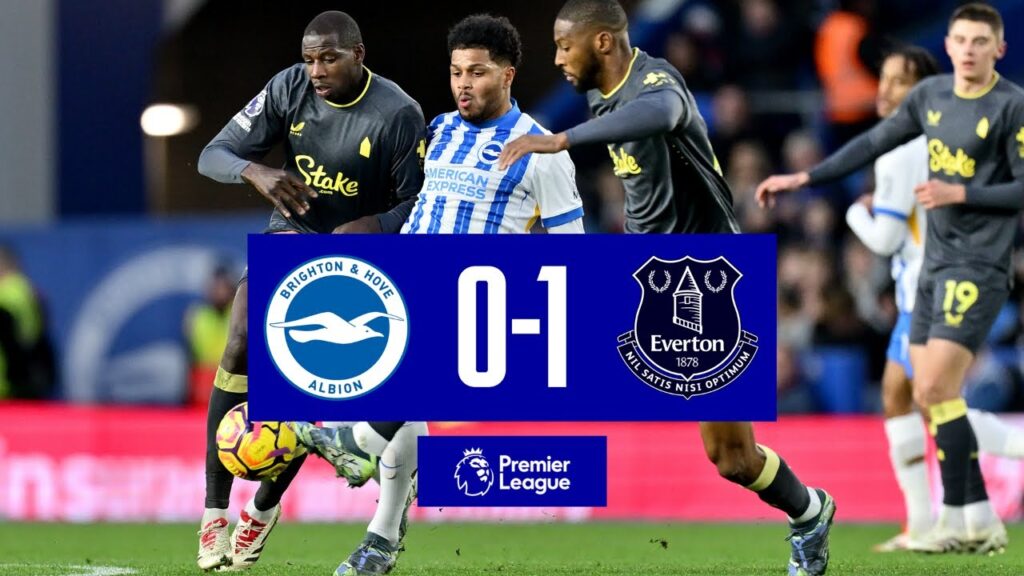 BRIGHTON 0-1 EVERTON | Premier League highlights