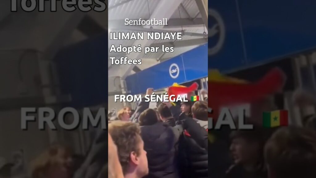 ILIMAN NDIAYE adopté par les Toffees d'Everton qui chantent ses louanges