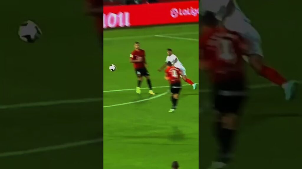 Nemanja Gudelj 🇷🇸