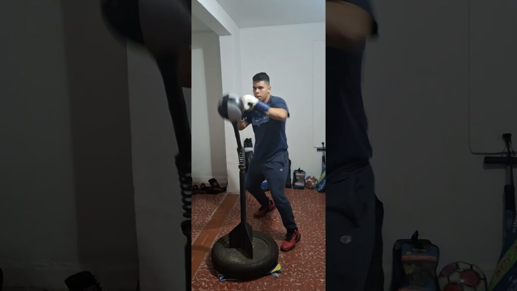 Reflex cobra bag work 01/30/25