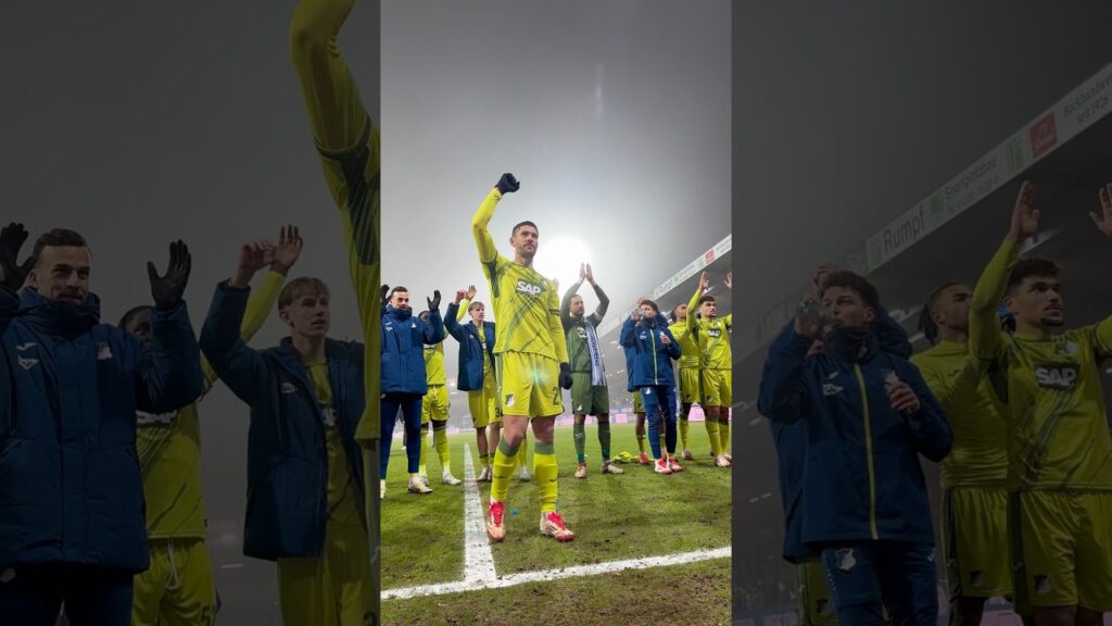 🐐 #Hoffenheim #AndrejKramaric #KSVTSG #Bundesliga