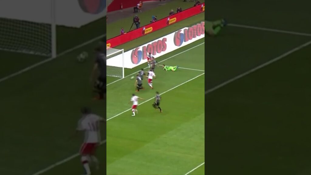 Grzegorz Krychowiak best moment w reprezentacji! Dziękujemy!