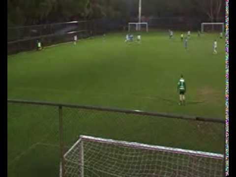 Gol Milinković-Savića