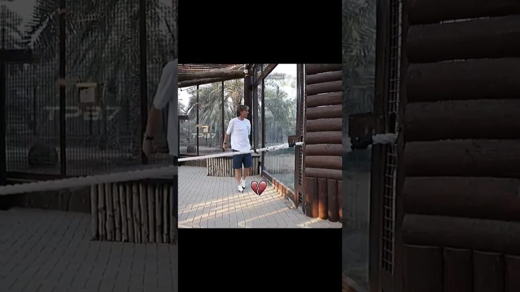 Luka Modric vs a Tiger 😳 #trending #football #edit #fyp #shorts