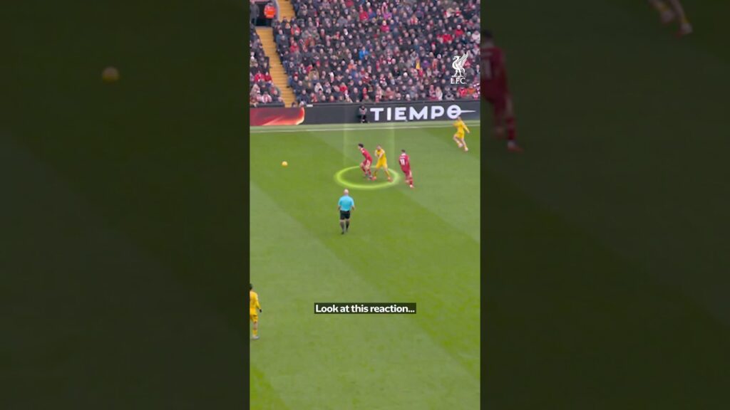 🇯🇵 Wataru Endo ❤️