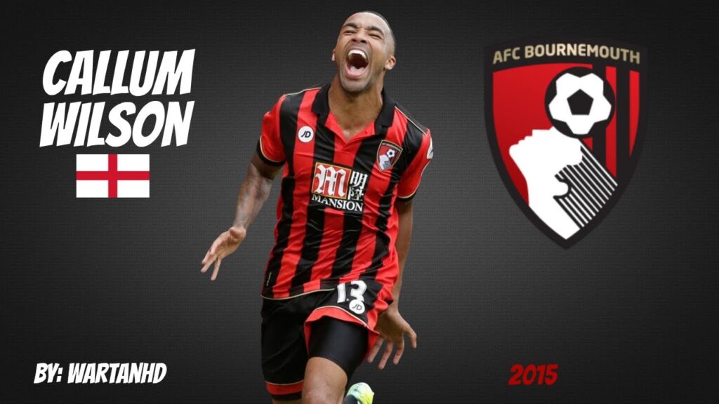CALLUM WILSON ● Goals, Skills & Assists ● AFC Bournemouth ● 2014/2015 ● [HD]