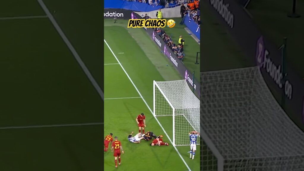 Absolute chaos in the box 🤣