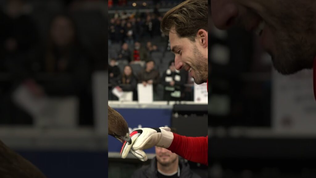 Kevin Trapp einfach zum Anbeißen 🤤🦅 #shorts