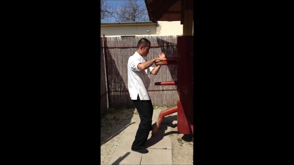 allenamento all uomo di legno shi fu liu peng(NO WING CHUN)