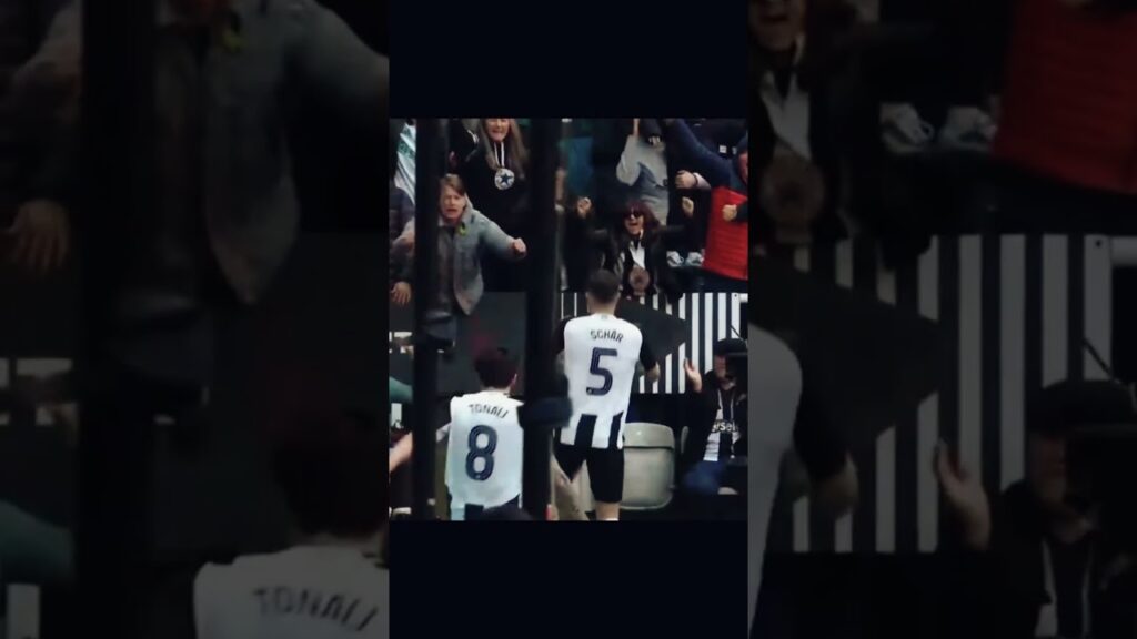 Feel Sorry for Fabian Schär, But This is...Awkward┃Funny Moment in Newcastle vs Brighton #FACup
