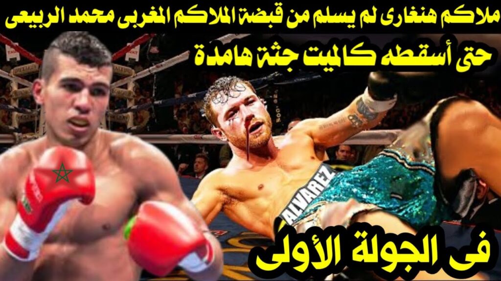 ملاكم هنغارى لم يسلم من قبضة السفاح المغربى محمد الربيعى حتى أسقطه كالميت جثه هامدة فى الجولة الأولى