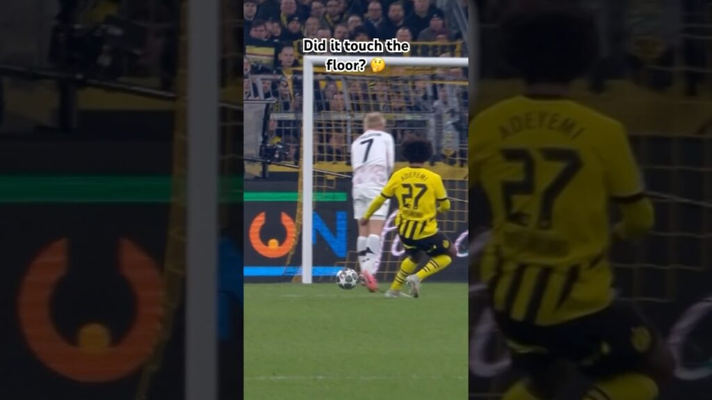 Did it touch the floor? 🤔