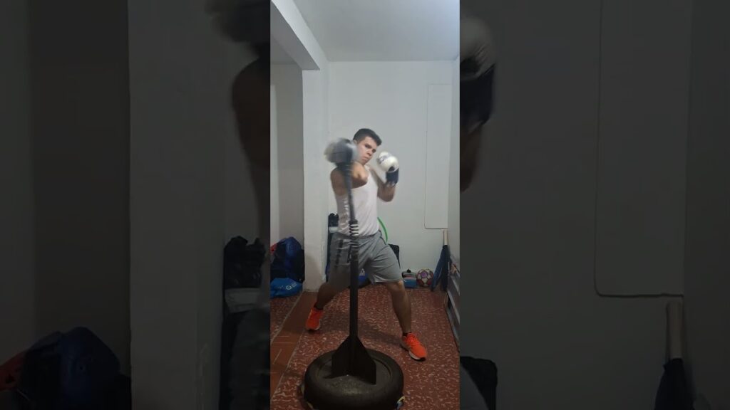 Reflex cobra bag work 03-05-25  #boxing #boxingexercise