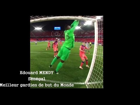 Edouard MENDY Meilleur gardien du Monde