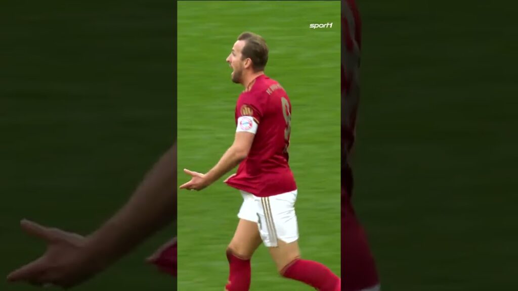 Harry Kane Schwalbenkönig? 😯