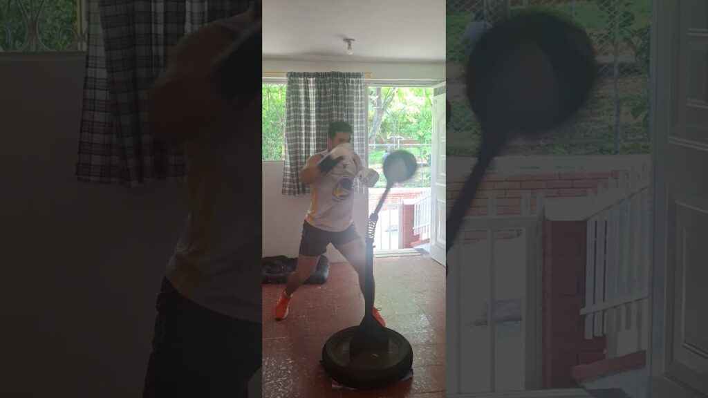 Reflex cobra bag work 03-08-25 (2) #boxing #boxingworkout