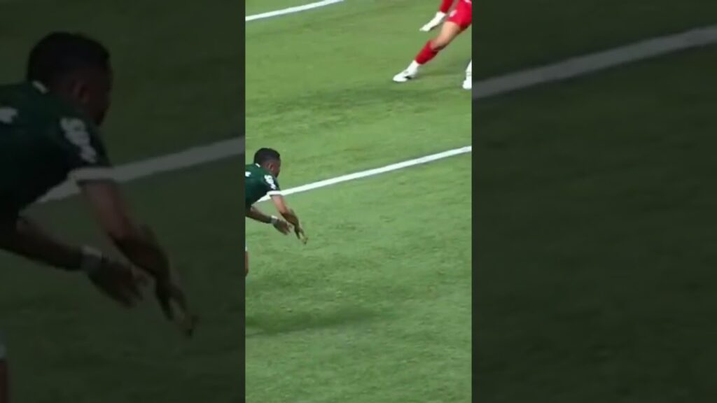 #RAFAEL FAZ MERDA, ARBOLEDA NÃO FAZ PÊNALTI E #PALMEIRAS VAI DISPUTAR A FINAL COM O #CORINTHIANS