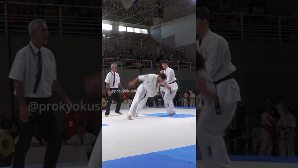 1st WKB World Open weight #kyokushin #karate #championship | #Knockout
