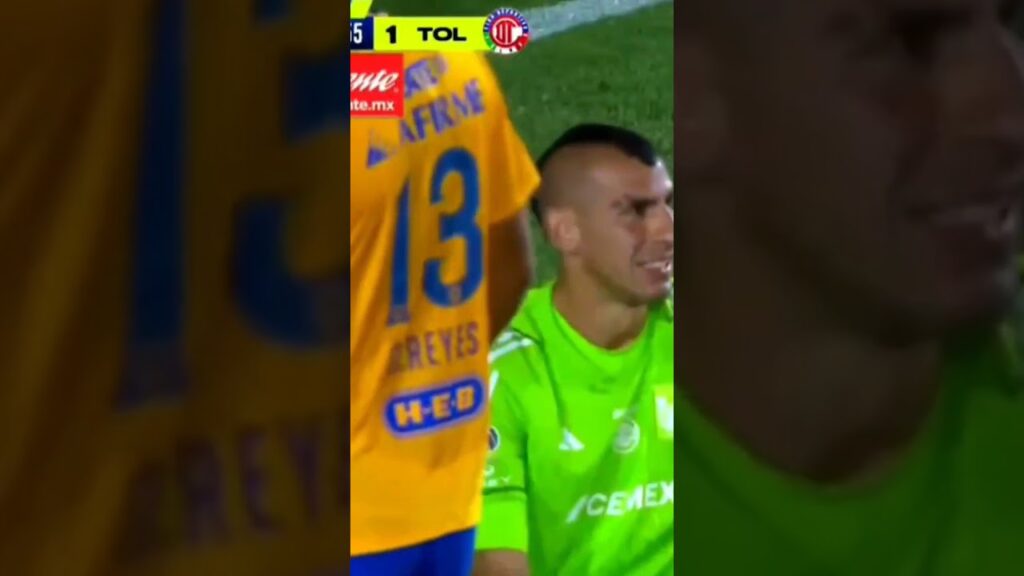 Gol Jesús Gallardo | Tigres 2-1 Toluca | Jornada 16 Liga BBVA MX
