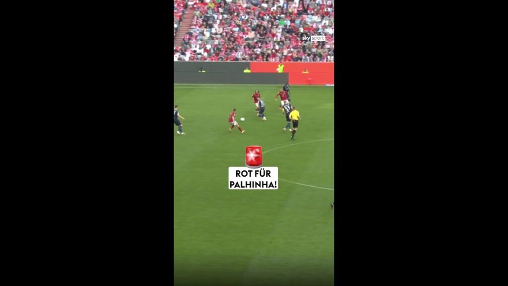 Rot für Palhinha! 😬