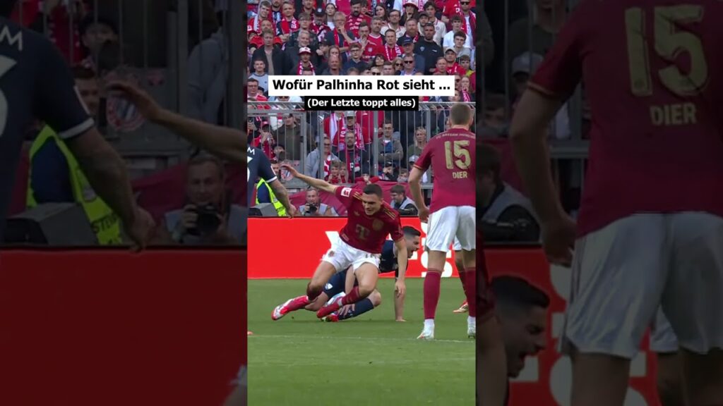 Zweifel-Rot für Palhinha