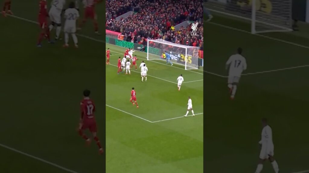 Cody Gakpo Header 💪