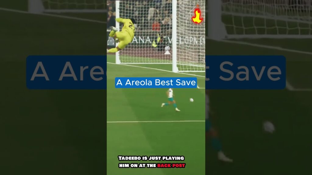 Football Recap Video: A. Areola Best Save Against Newcastle United
