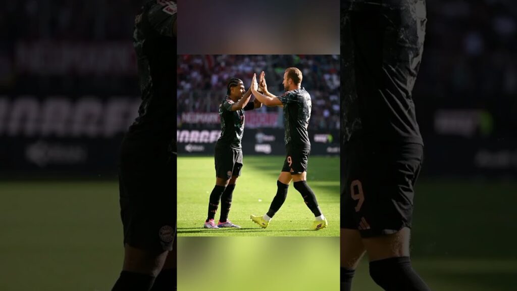 Harry Kàne and Serge Gnabry were all Joy as Bayern defeat Wolfsburg