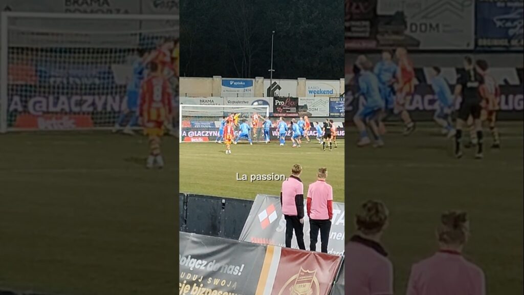 La Passion Polish Axel Witsel #shorts