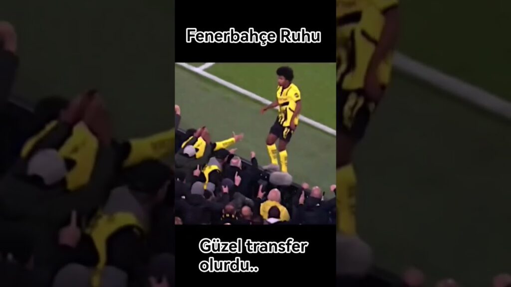 Adeyemi: Geliyorum. keşke gelse 😂😂 #adeyemi #fenerbahçe #fenerbahce #fener #futbol #shorts #alikoç