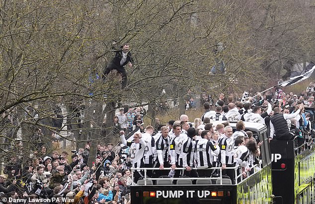 A daredevil Newcastle fan scales a tree in order to get a prime vantage point to view the open top tour bus as it passes