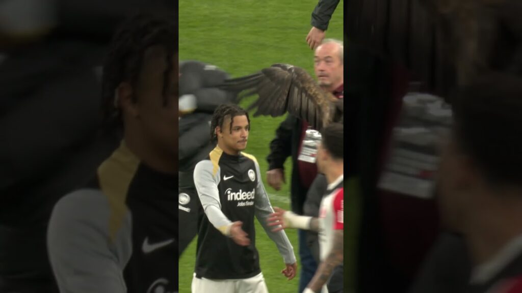 Der macht doch nichts 😉 Attila "haut" Michy Batshuayi 🦅 #shorts